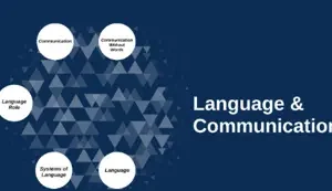 Instituto para la Normalización Tetracausal del Lenguaje X pic